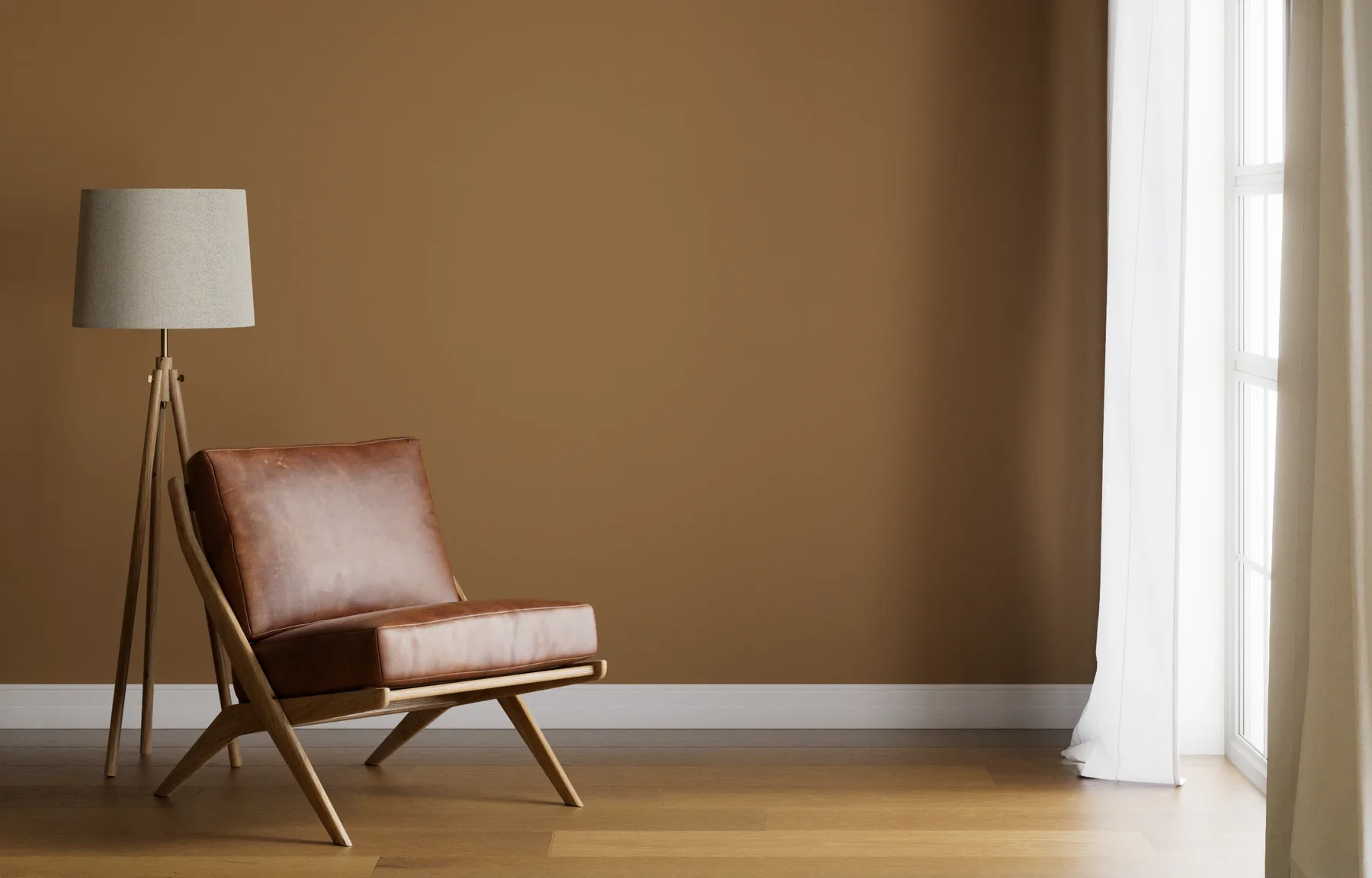 Cardboard | DesignShop